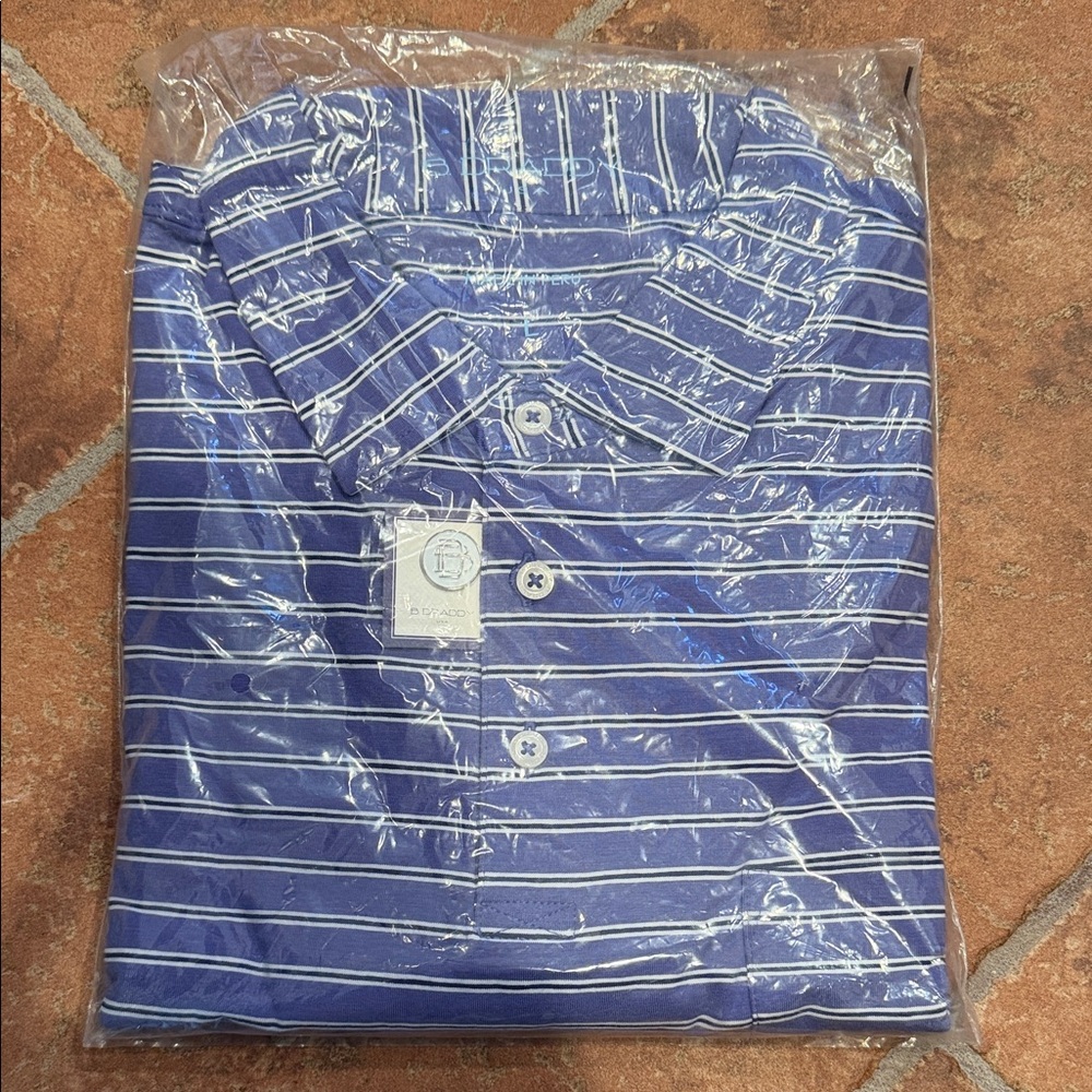 Striped Blue Casual Button-Down Shirt